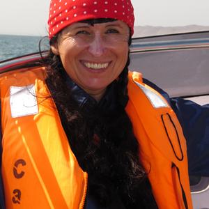 Plavba na Islas Ballestas