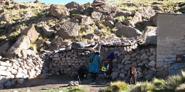 Tady bydlí rodina, kterou se snažíme podporovat, Altiplano