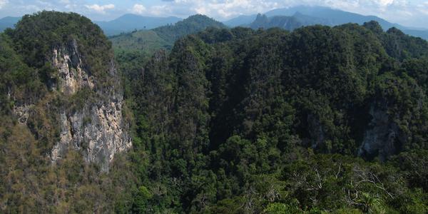 Krajina na Krabi