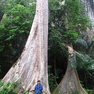 Momentka z Krabi