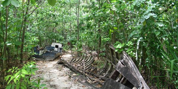 Po tsunami na Krabi, 2004