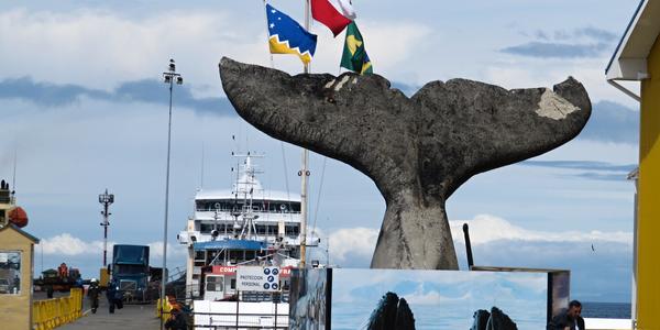 Přístav v Punta Arenas