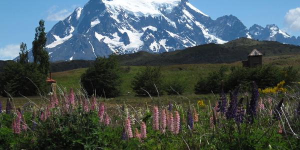 Kondoří hnízdo v Torres del Paine