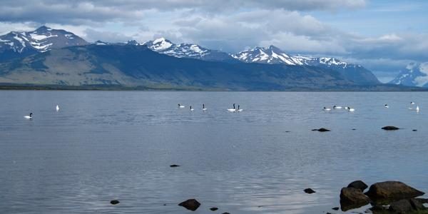 Magellanova úžina v Puerto Natales