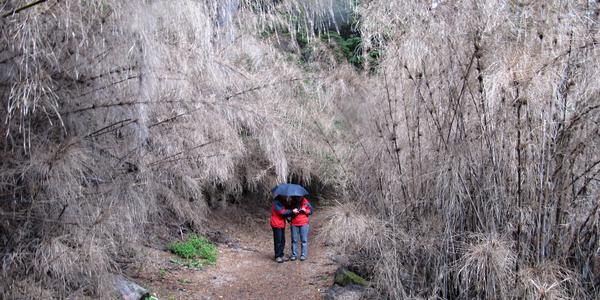 V unikátním reliktním tropickém pralese, San Carlos de Bariloche