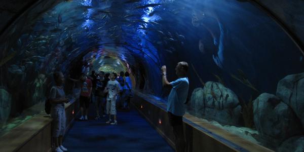 Oceanografické muzeum, Valencie