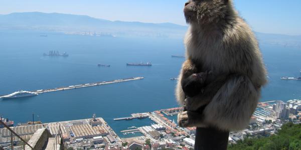 Pohled z Gibraltaru na  Algeciraský záliv