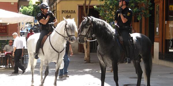 Pouliční policie, Madrid