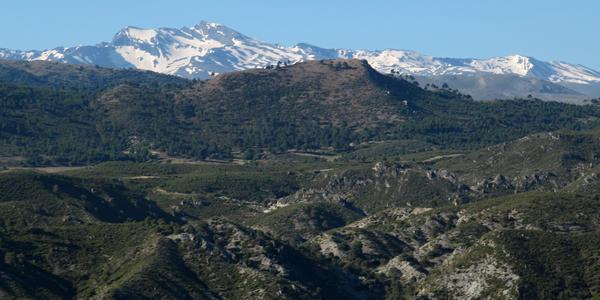 V pozadí Sierra Nevada