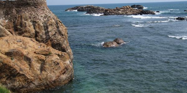 Galle