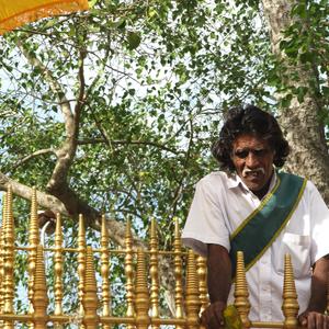 Hlídač Buddhova stromu, Anuradhapura