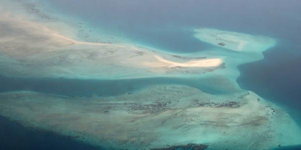 Korálové mělčiny u Zanzibaru