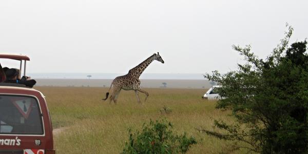 Masai Mara