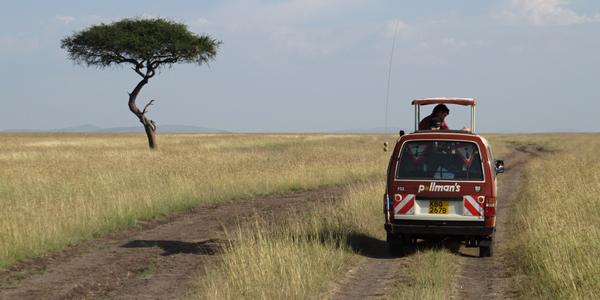 Safari v Masai Mara