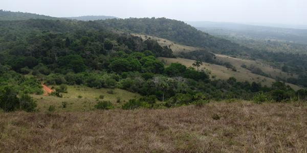 Shimba Hills