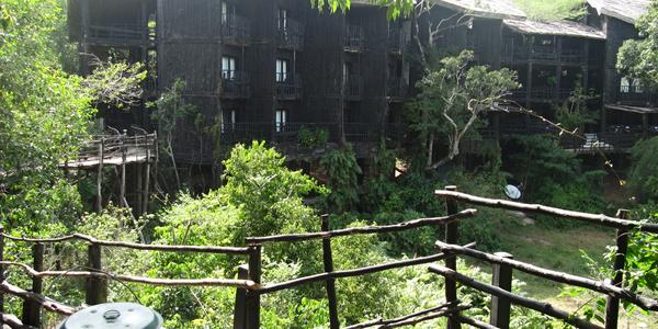Tree Top Hotel v Shimba Hills