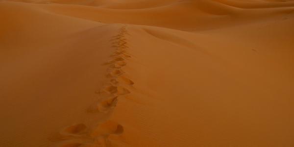 Stopy v poušti, Erg Chebbi