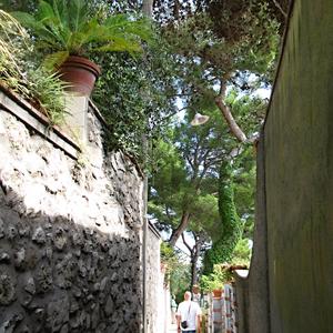 Vegetace Capri