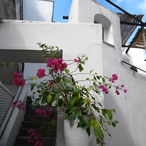 Vstup do domu, Capri