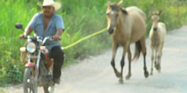 Chiapas, momentka z jedoucího autobusu