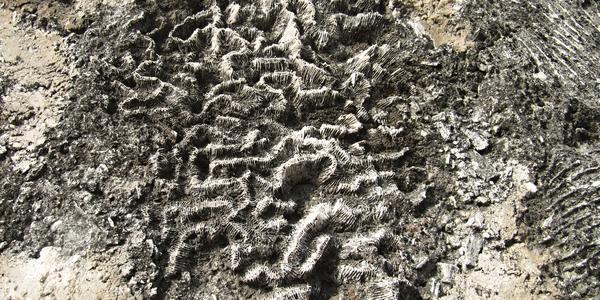 Mořské korály jako stavební materiál, pevnost San Juan Ulúa