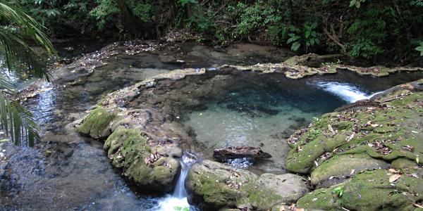 Travertiny Netopýřího potoka, Palenque