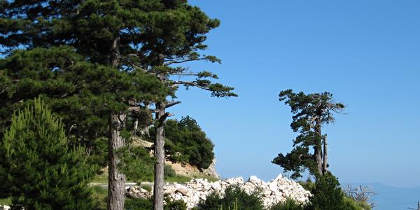 Národní park Llogara