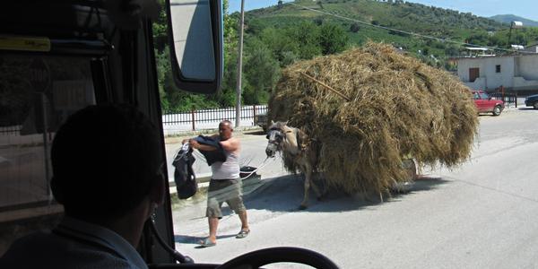 Senoseč, Berát