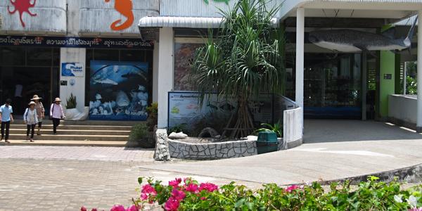 Akvárium, Phuket