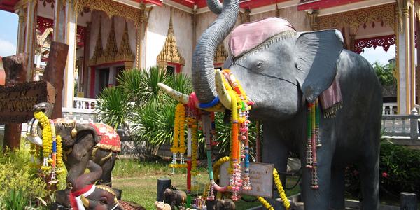 Sloni jsou uctíváni u každého chrámu, Phuket