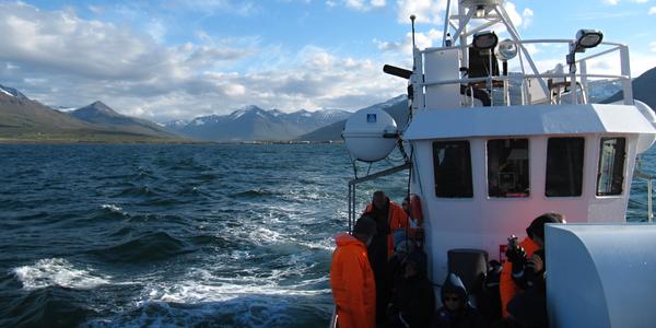 Plavba za velrybami, Dalvík
