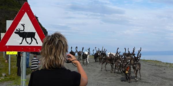 Momentka z cesty na Nordkapp