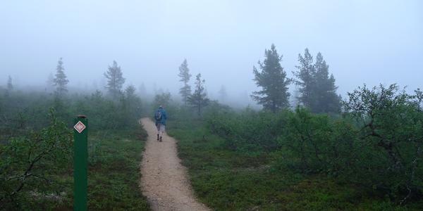 Cesta do mlhy, Saariselkä