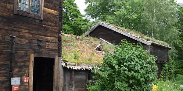 Lidová architektura, Skansen, Stockholm