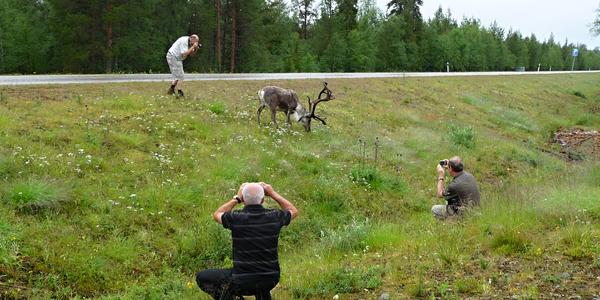 Sob před Saariselkä