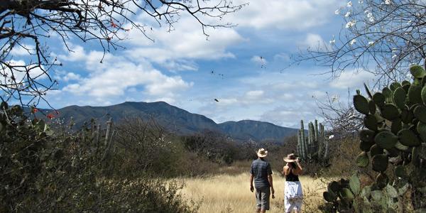 Rezervace Tehuacán-Cuicatlan