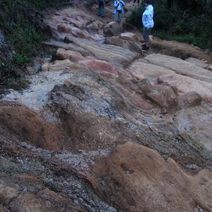 Cesta na Horton Plains