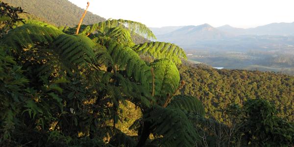 Cestou na Horton Plains
