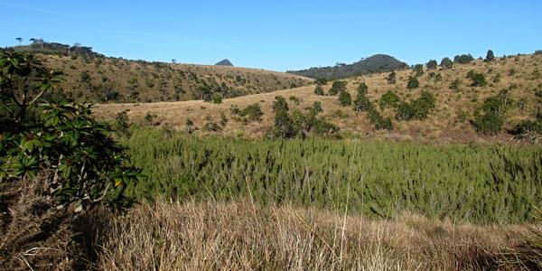 Horton Plains