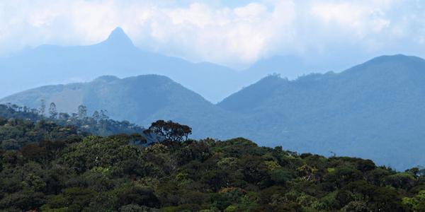 Na obzoru Adamova hora, Horton Plains