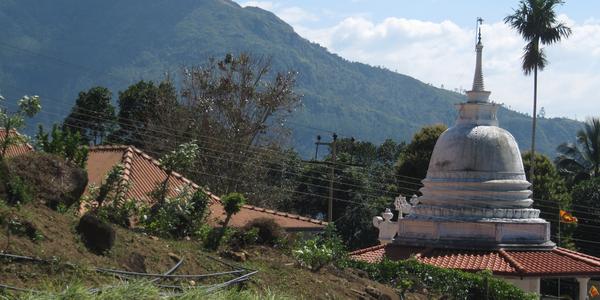 Nuwara-Eliya_cajove-plantaze_24