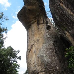 Skalní kobra v Sigiriya