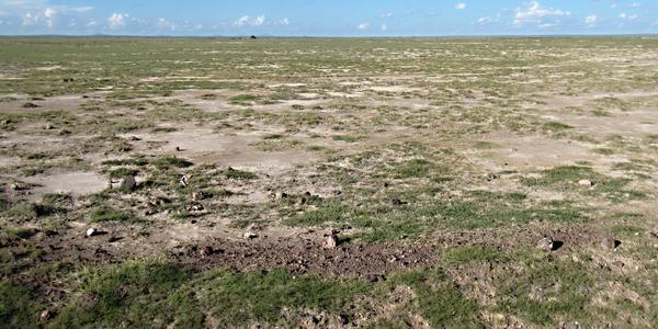Lidmi, zvěří i sluncem zdevastované Amboseli