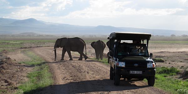 Podvečer v Amboseli
