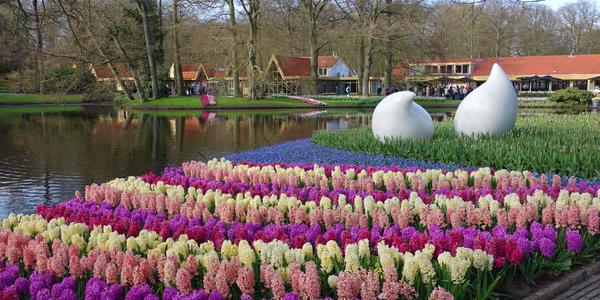 Keukenhof 6