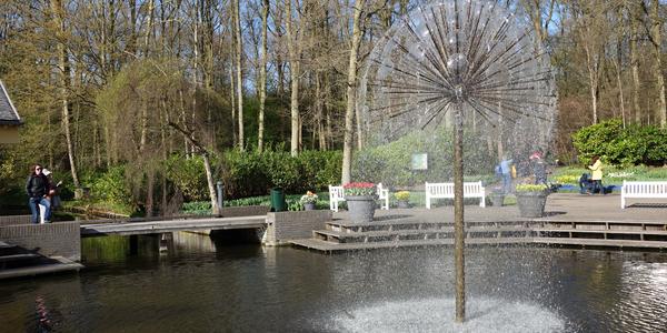 Keukenhof 1