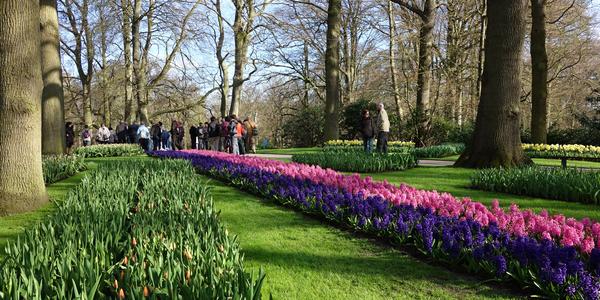 Keukenhof 3