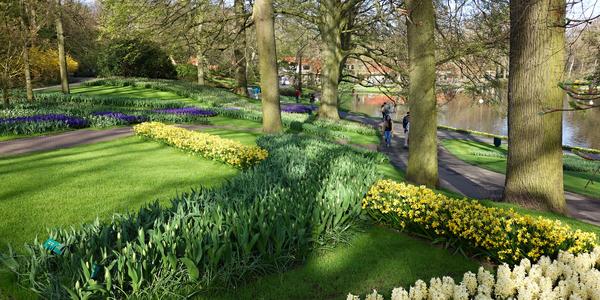 Keukenhof 4