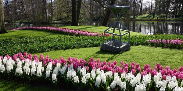 Keukenhof 5