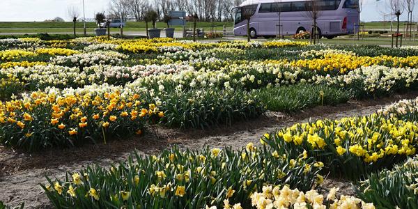 V prodejní zahradě Floratuin